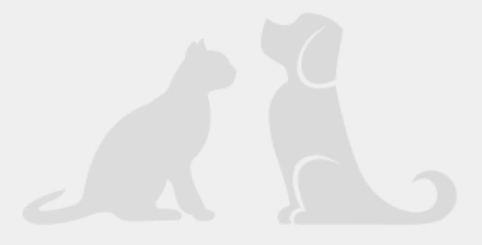 万物至上宠物服务