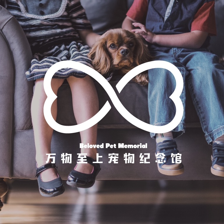 万物至上宠物纪念馆